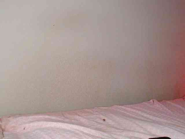 JustAlice webcam