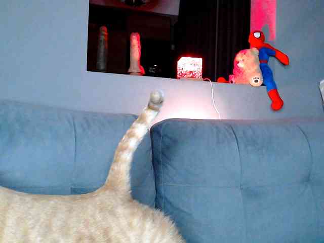 JustAlice webcam