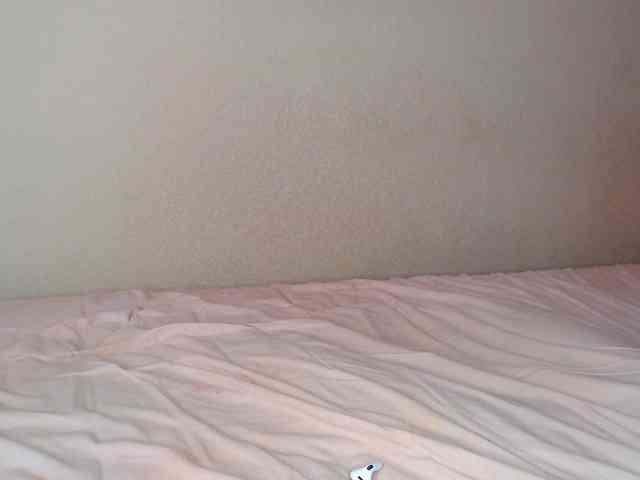 JustAlice webcam