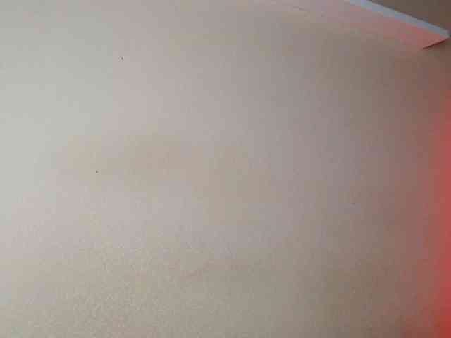 JustAlice webcam