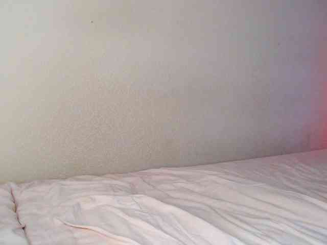 JustAlice webcam