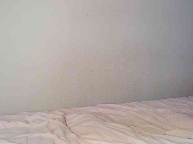 JustAlice webcam