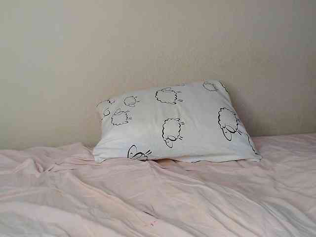 JustAlice webcam