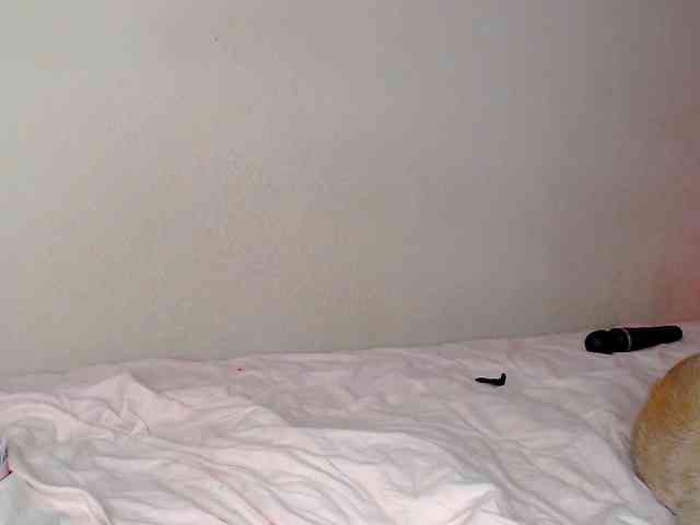 JustAlice webcam