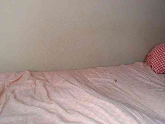 JustAlice webcam