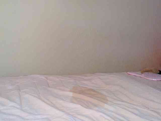JustAlice webcam