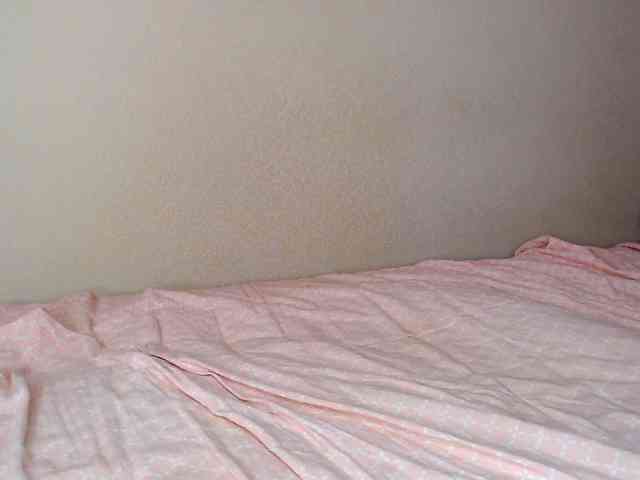 JustAlice webcam