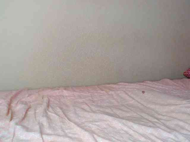 JustAlice webcam