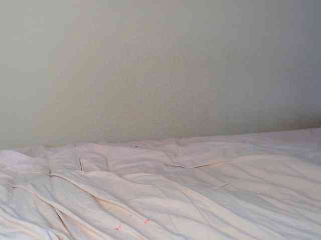 JustAlice webcam