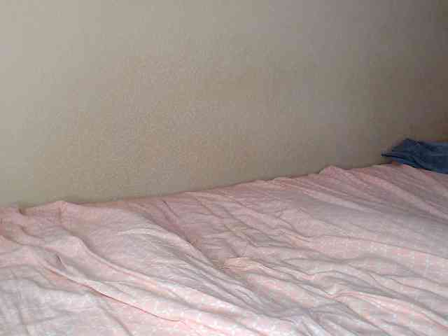 JustAlice webcam