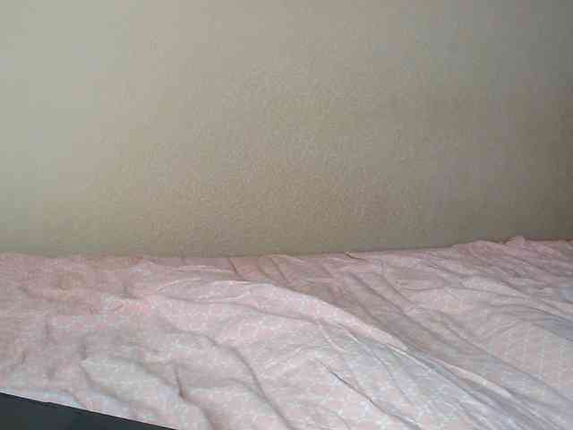 JustAlice webcam