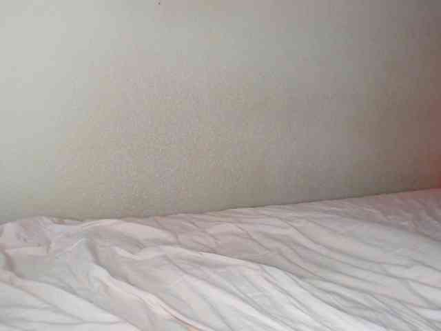 JustAlice webcam