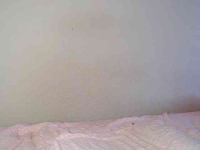 aliceTurner21 Sex Cam Show