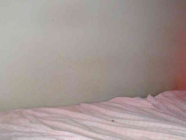 aliceTurner21 Sex Cam Show