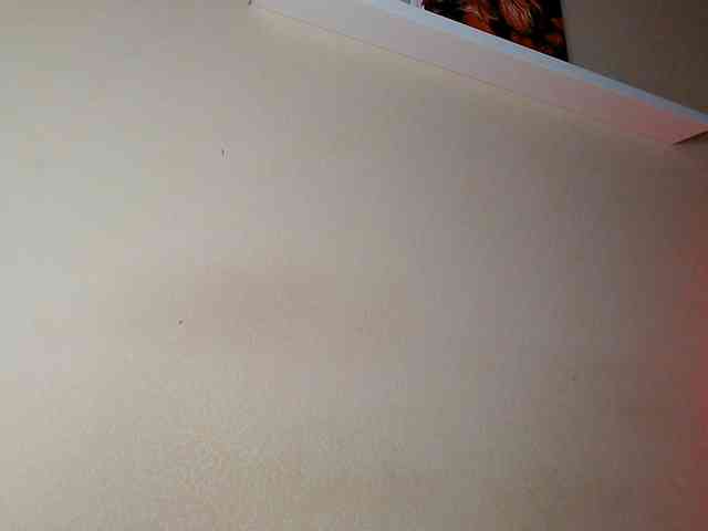 JustAlice webcam