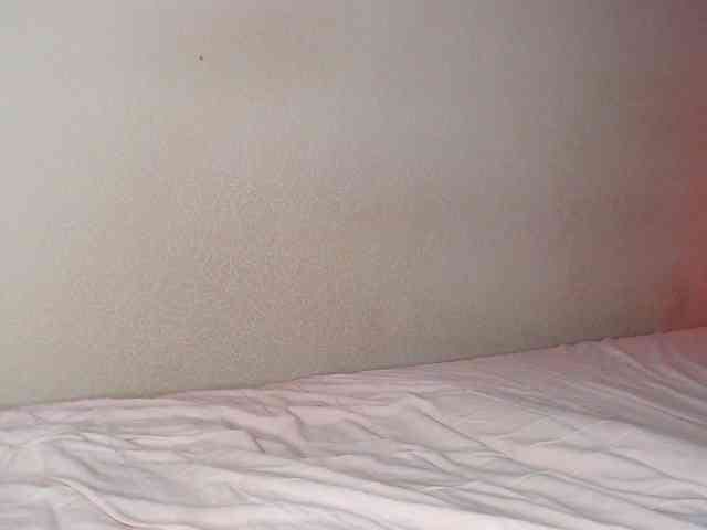 JustAlice webcam