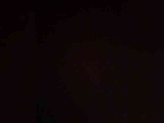 Relfia