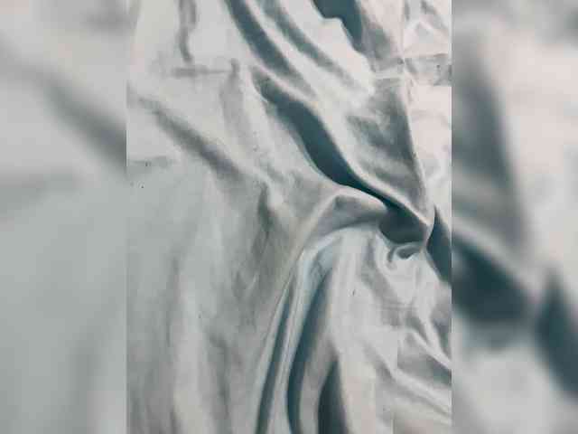 Relfia webcam