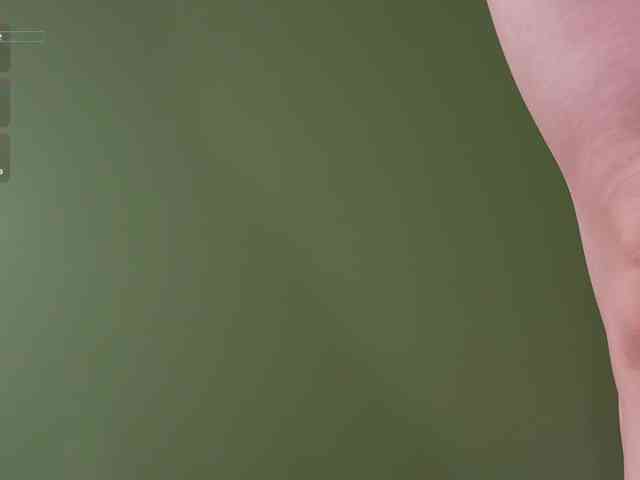 katy-ethereal webcam