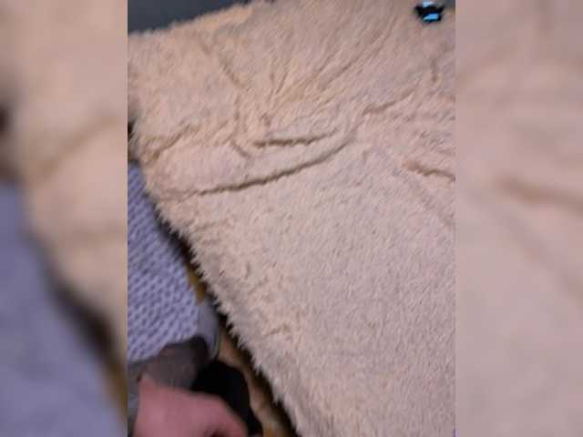 Kisi_Sisi