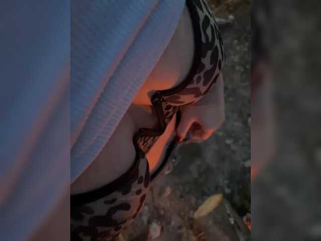 Kisi_Sisi
