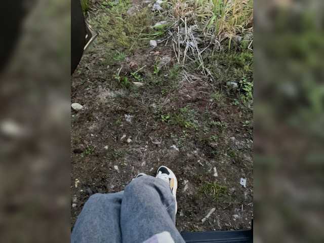 Kisi_Sisi