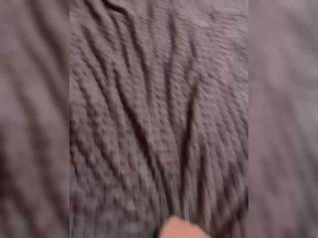 Kisi_Sisi webcam