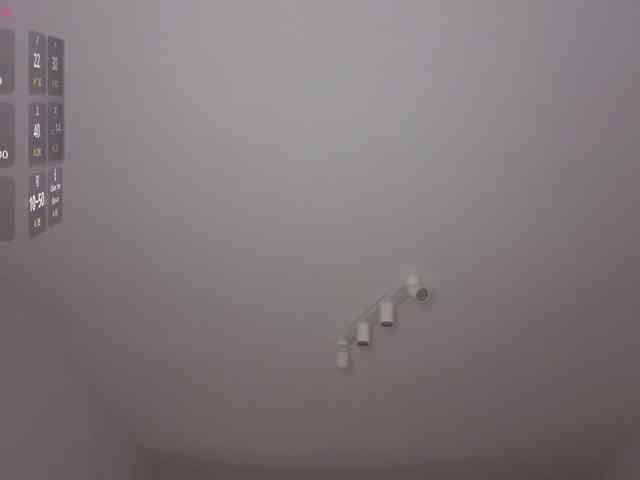 Alwaysfrida webcam