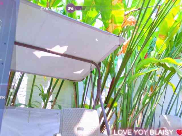 blaisysmith webcam