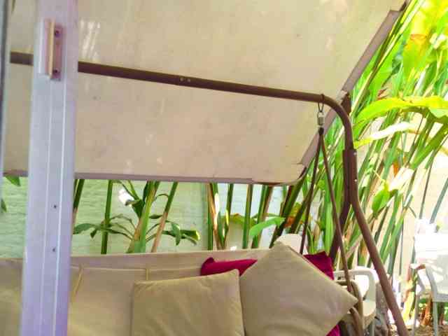 blaisysmith webcam