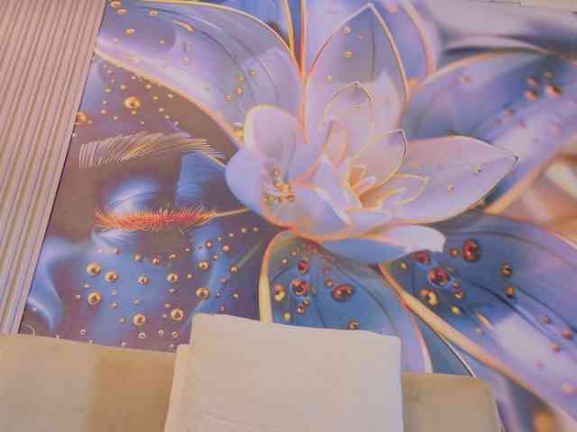 blaisysmith webcam