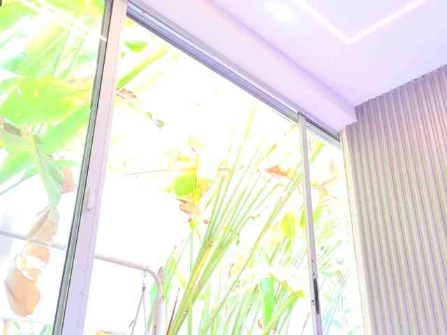 blaisysmith webcam