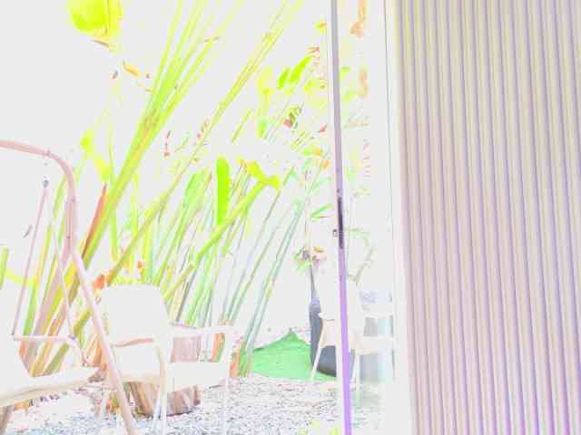 blaisysmith webcam