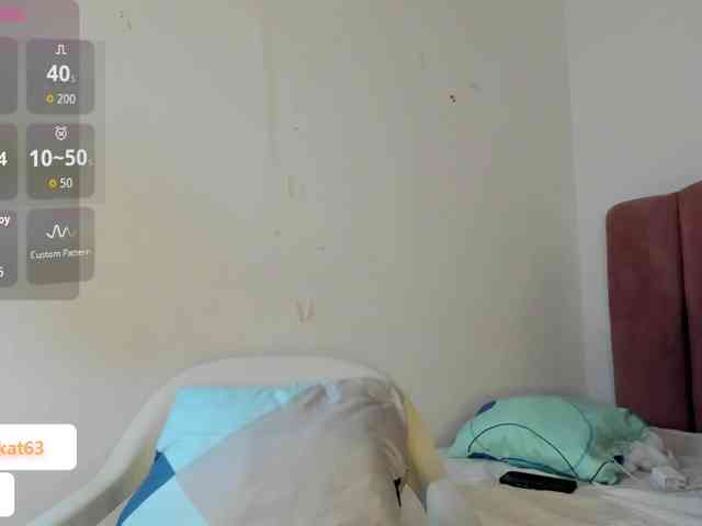 Tahira-20 webcam
