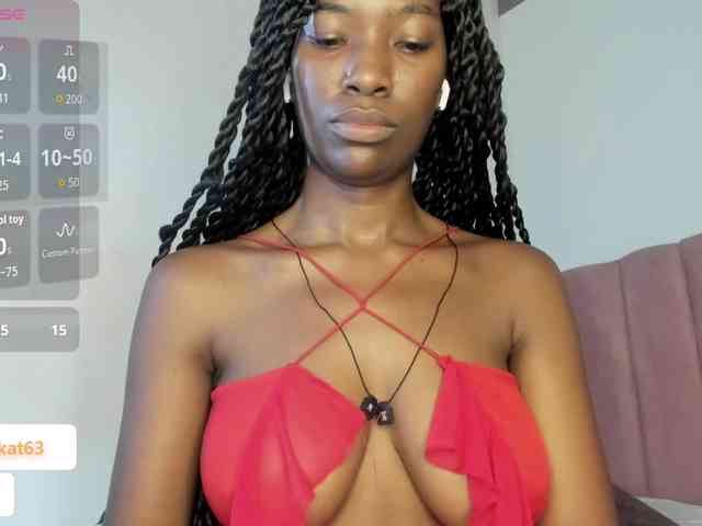 Tahira-20 webcam