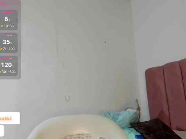 Tahira-20 webcam