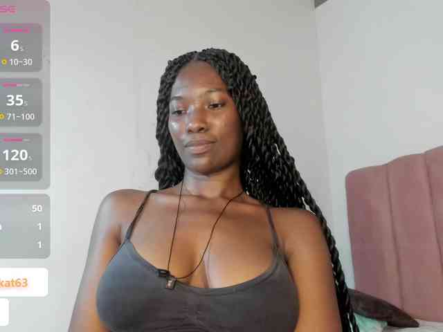 Tahira-20 webcam