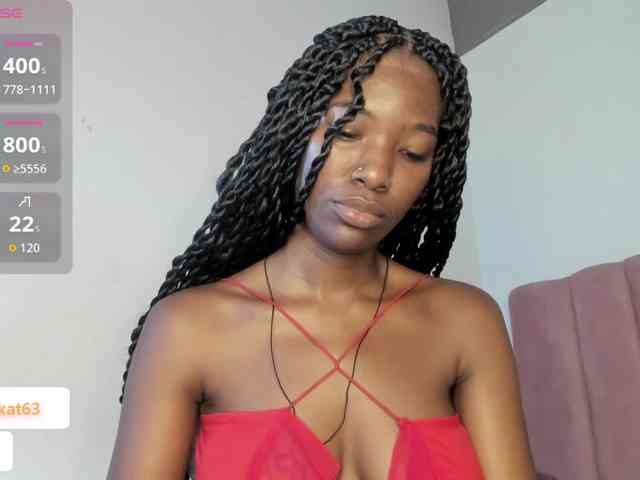 Tahira-20 webcam