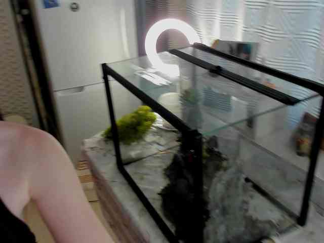 SweeteRose webcam