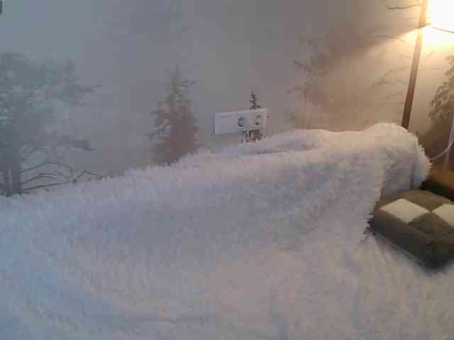 Red_Rose_98 webcam