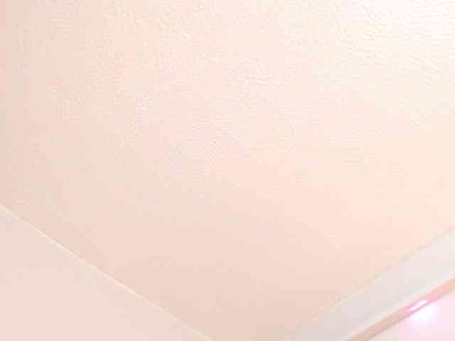 Joliet_ webcam