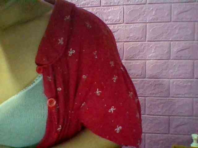 JangHi-22 webcam