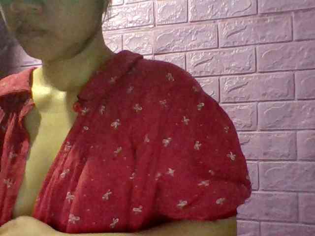 JangHi-22 webcam
