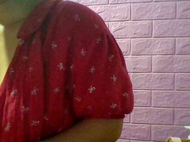 JangHi-22 webcam