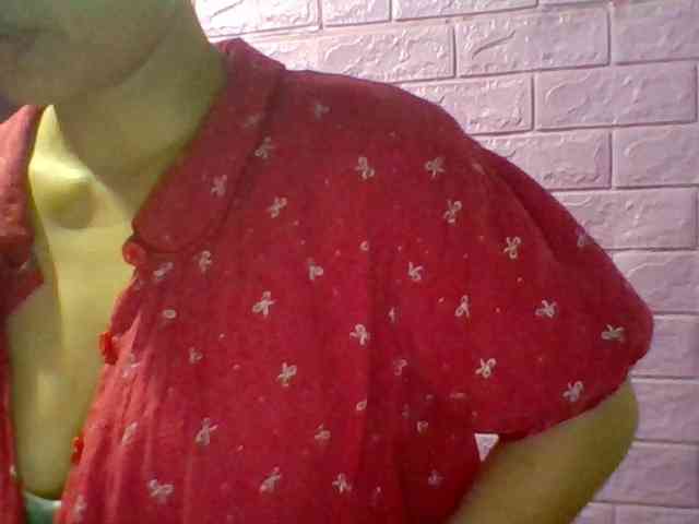 JangHi-22 webcam