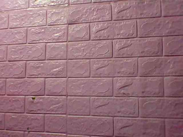 JangHi-22 webcam