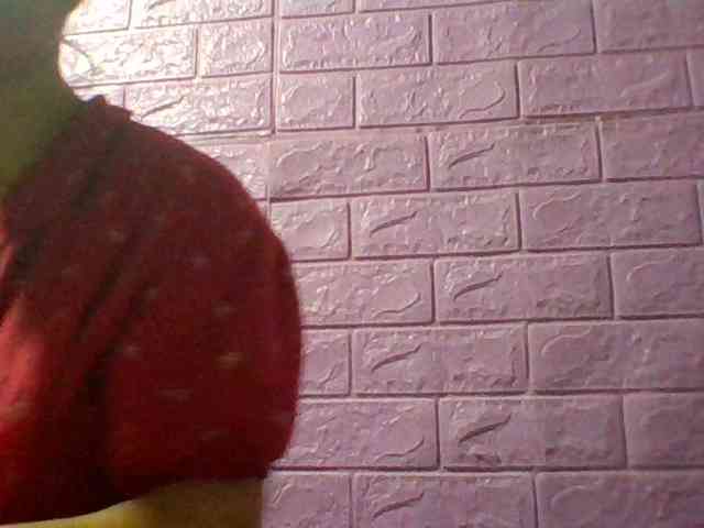 JangHi-22 webcam