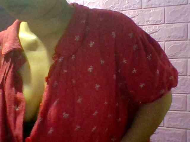 JangHi-22 webcam
