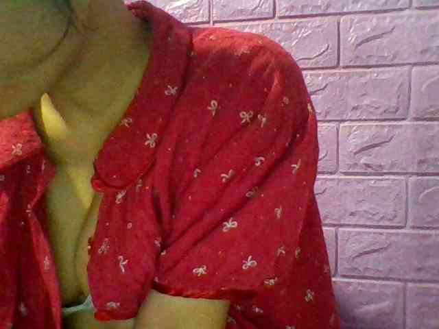 JangHi-22 webcam