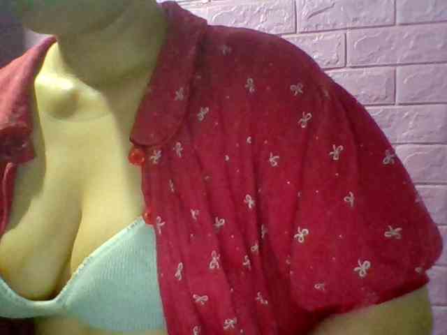 JangHi-22 webcam